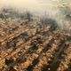 Coffey Park tras el incendio. AP